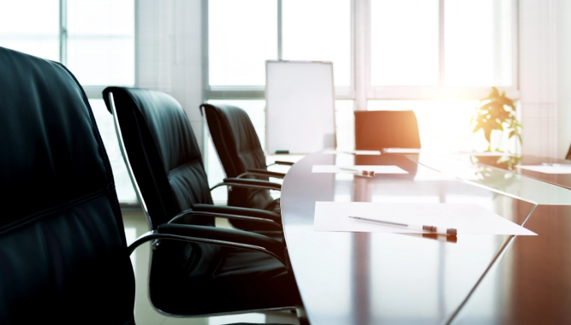 Board & Organizational Risk Capacity Building