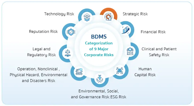 BDMS Risk and Crisis Management